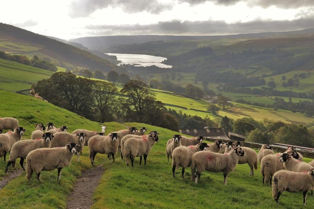 Wensleydale Halls เลย์เบิร์น ภายนอก รูปภาพ